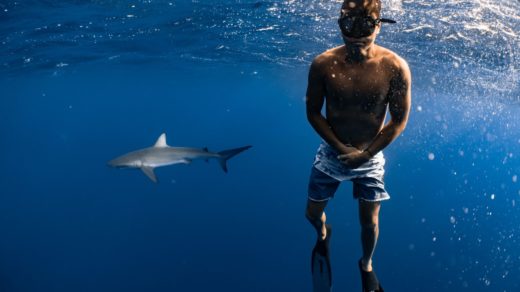 shark diving in Cape Town